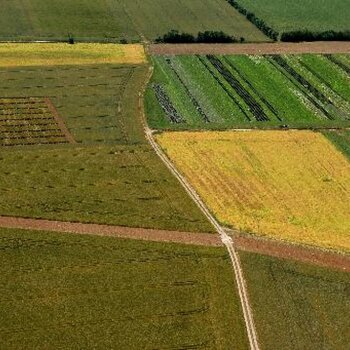 Agriculture & végétaux