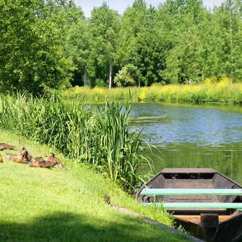 Environnement & nature