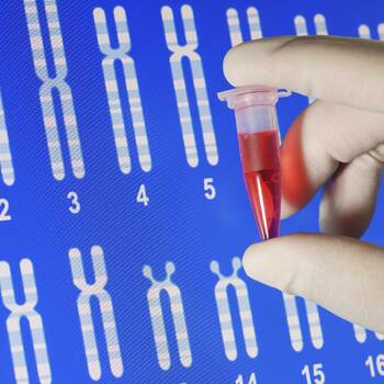 Sciences biologiques